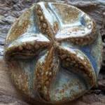 Starfish Seashell Cabochon